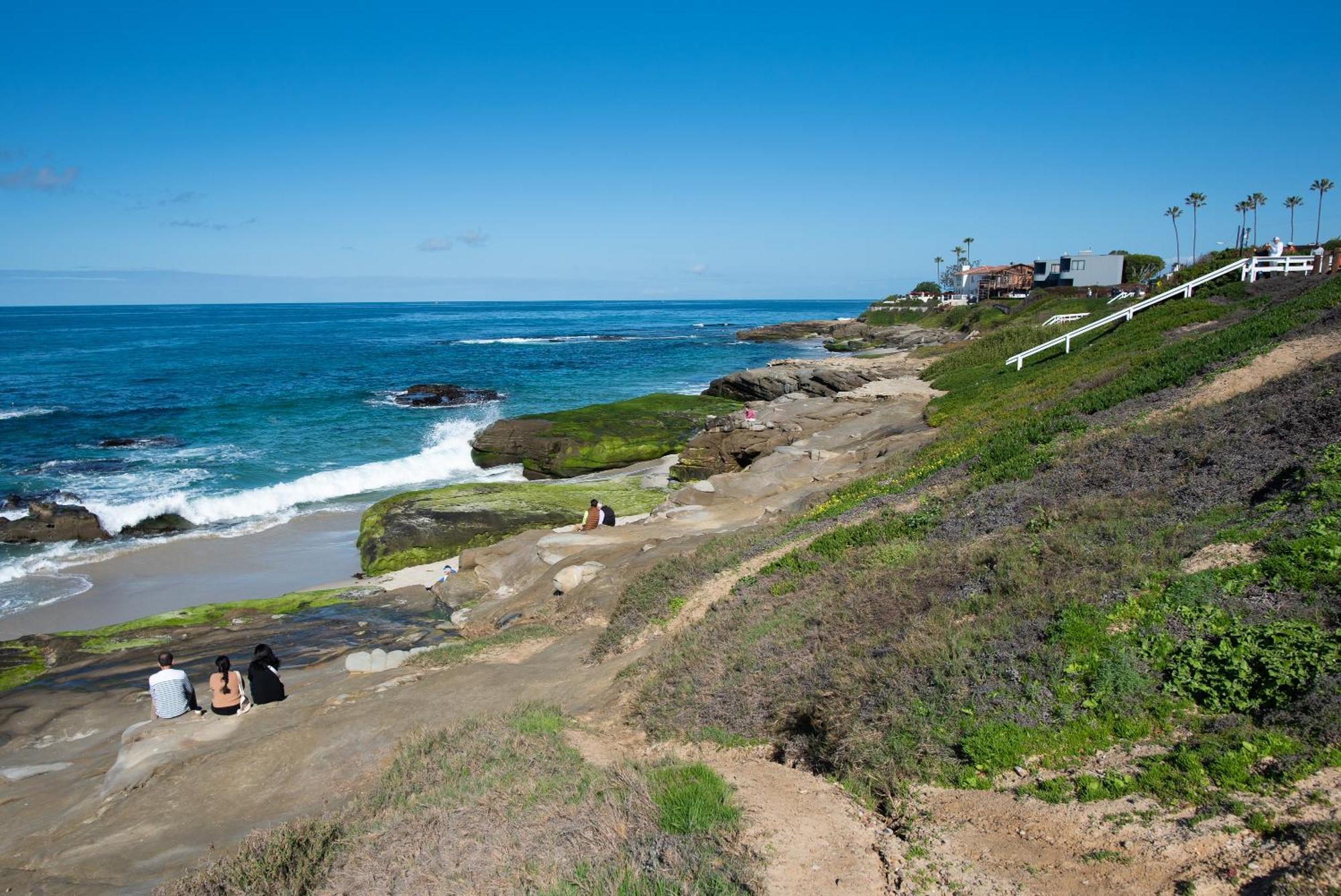 La Jolla Windansea Luxury